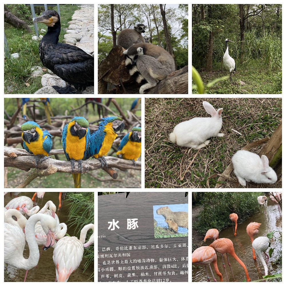 厚積薄發(fā)，蓄力前行：大手牽小手，共圓實(shí)佳夢